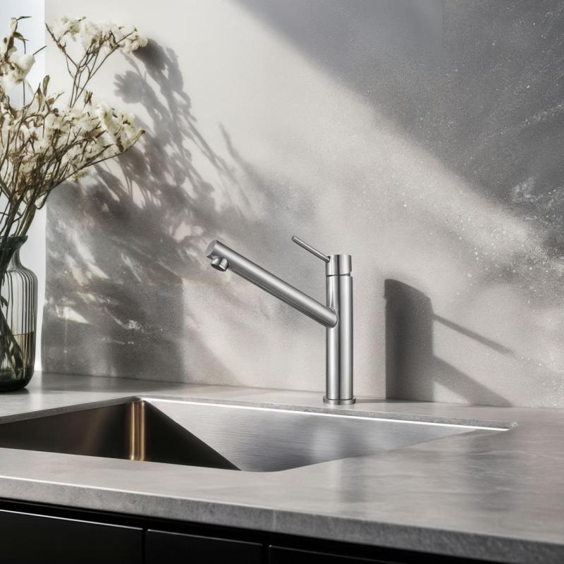 Franke Orbit massiv rostfritt stål hög Kökskran med svängbar pip inox 115.0600.928