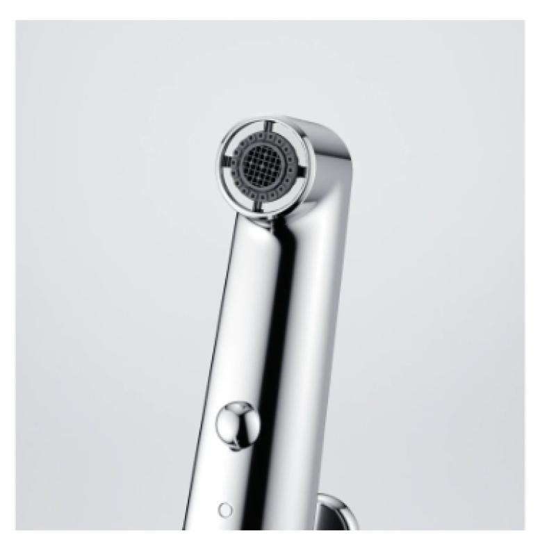 Franke Lift Kökskran med utdragbar duschhuvud krom 115.0621.668