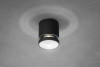 Ceiling luminaire RIVEN, alum, 102x120, IP54, MAX.35W, round, graphite